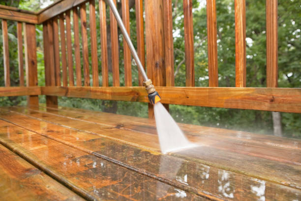 Best Affordable Pressure Washing  in Porcupine, SD